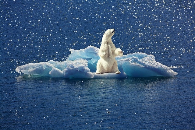 meteo-weather froid chaud